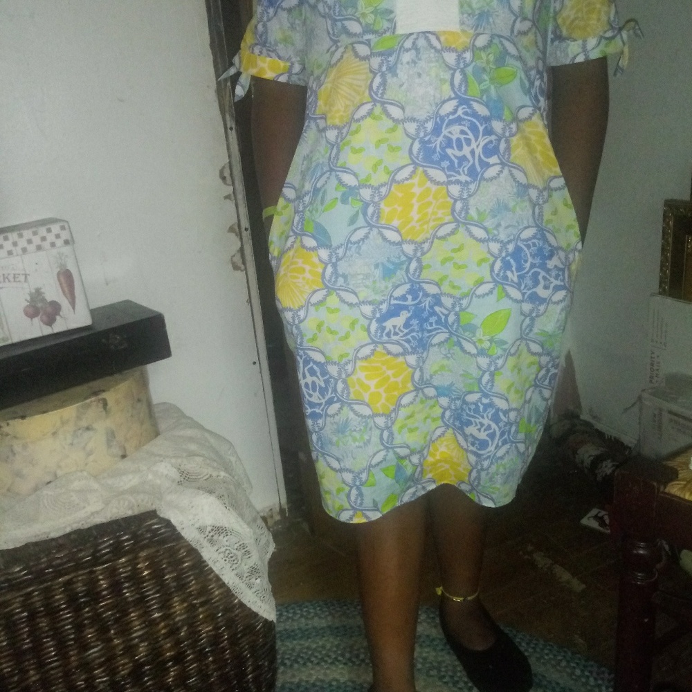 Lilly Pulitzer Dress